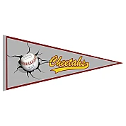 Pennant degli Cheetahs