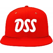 Gorra DSS Haarlem