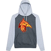 Firebirds Contrast Hoodie
