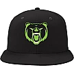 Grizzlies Pet