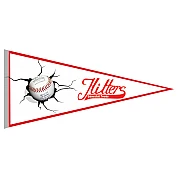 High Tech Hitters Wimpel