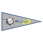 Hilversum Hurricanes Wimpel