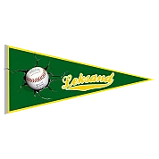 Annecy Spiders Pennant