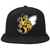 Oldenburg Hornets Pet