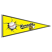 Oldenburg Hornets Vaantje