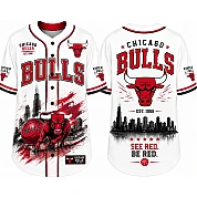  Party Jersey Mesh: Bulls 2