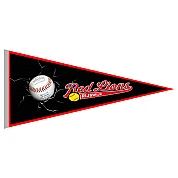 Pennant Red Lions