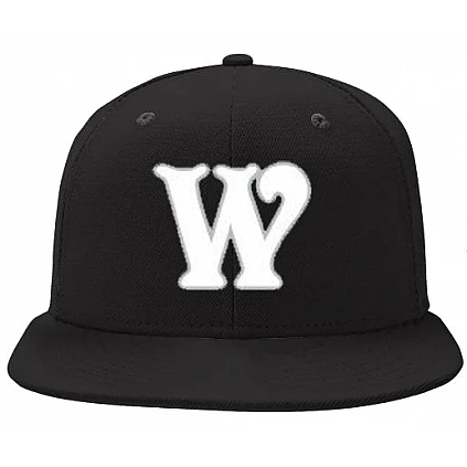 Wiesbaden Flyers Pet