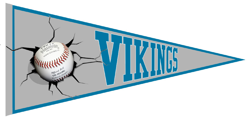Banderin Chalon  Vikings