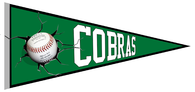 BC Contois cobras Pennant