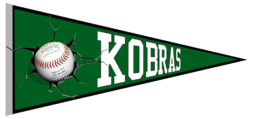 Zurich Kobras Pennant