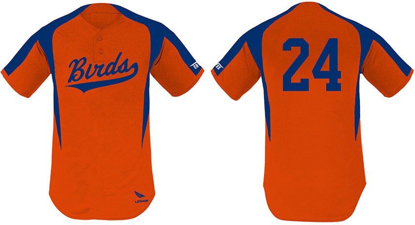 Birds Jersey, 2 Buttons: Flatback Mesh