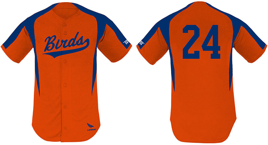 Birds Jersey