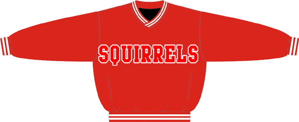 Borgerhout Squirrels PolyMicro Pullover Jacket