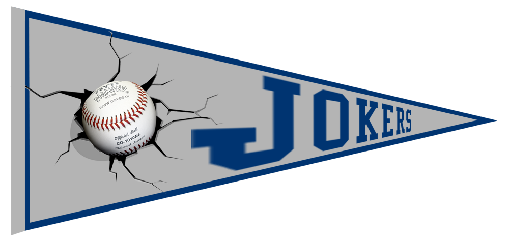 Lyngby Jokers Pennant