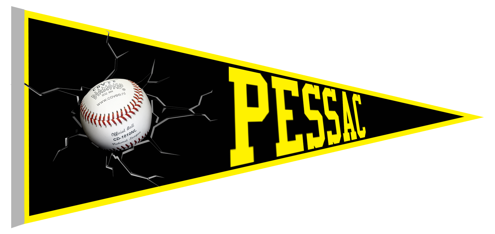 Pessac Pantheres Pennant