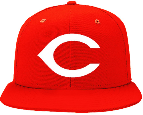 Red Castors Pet
