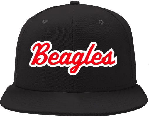 Gorra Beagles