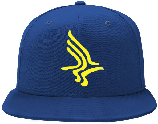 Gorra Blue Birds