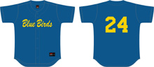 Camisa Blue Birds BB, Polyester