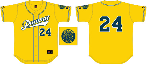 Puumat Jersey, Flatback Mesh